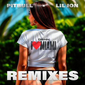 Cover Pitbull & Lil Jon - Damn I Love Miami (DJ Laz Miami Bass Remix & DJ Julian & Danny D)