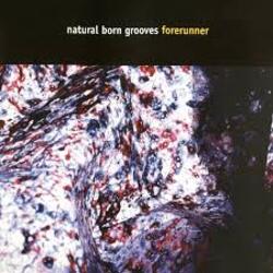  Natural Born Grooves - Forerunner (Future Breeze Mix)