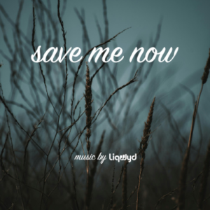  LiQWYD - Save me now