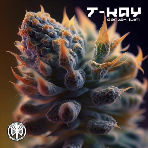  T-Kay - Ganjah VIP (Original Mix)