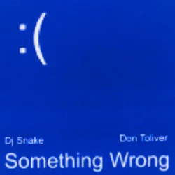 DJ Snake & Don Toliver - Something Wrong