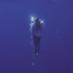 Phil it - ϳ����