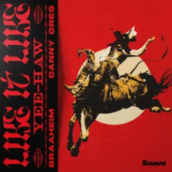 Braaheim & Danny Ores - Like It Like (Yee-Haw)
