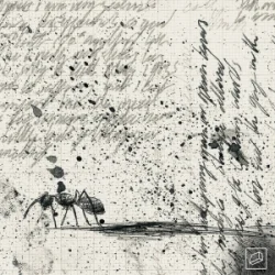 Jolliffe & Kublai & Verbz - Frames