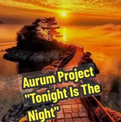Aurum Project - Tonight Is The Night