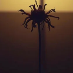 Neytan - Welcome to my mind