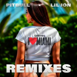 Pitbull & Lil Jon - Damn I Love Miami (DJ Laz Miami Bass Remix & DJ Julian & Danny D)