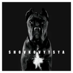 LATEXFAUNA - Shovkovytsya