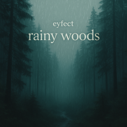 rainy woods
