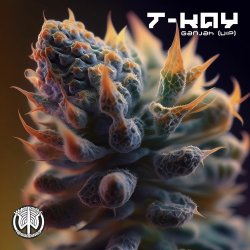 Ganjah VIP (Original Mix)