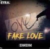 DNDM - Fake Love
