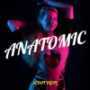 Sedat Oğul - Anatomic