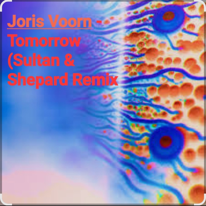  Joris Voorn - Tomorrow (Sultan & Shepard Remix)