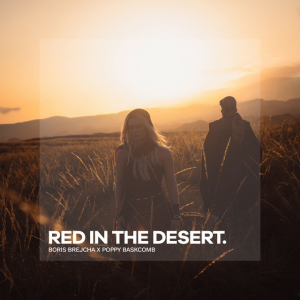  Boris Brejcha & Poppy Baskcomb - Red in the Desert