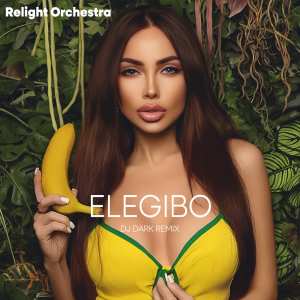  Relight Orchestra - Elegibo (Dj Dark Remix)