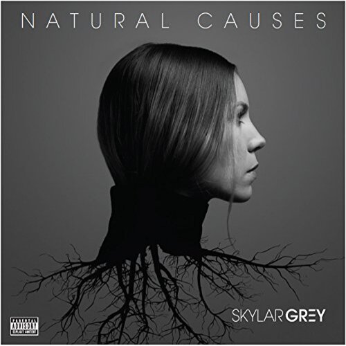  Skylar Grey - Jump