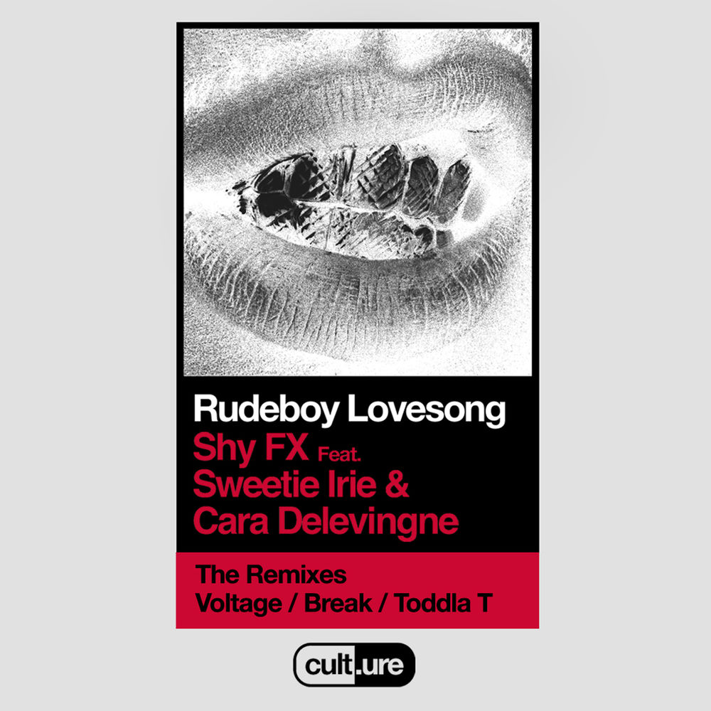  Shy FX feat. Sweetie Irie and Cara Delevingne - Shy FX (Remixes)