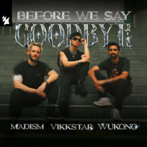  Madism & Vikkstar & WUKONG - Before We Say Goodbye