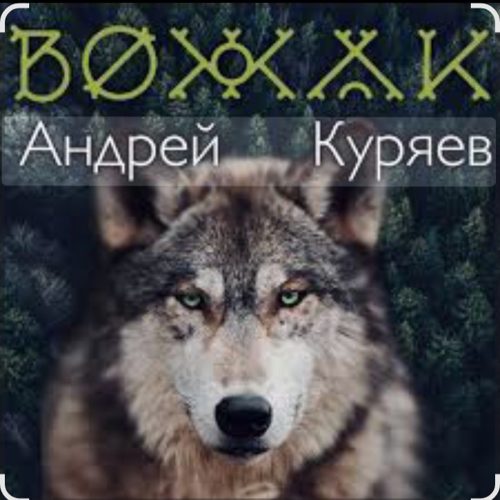  Андрей Куряев - Вожак