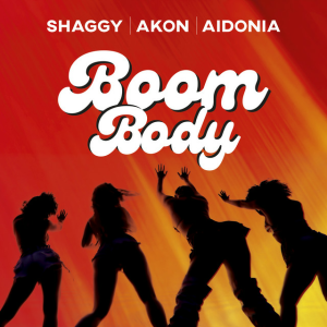  Shaggy & Akon & Aidonia - Boom Body