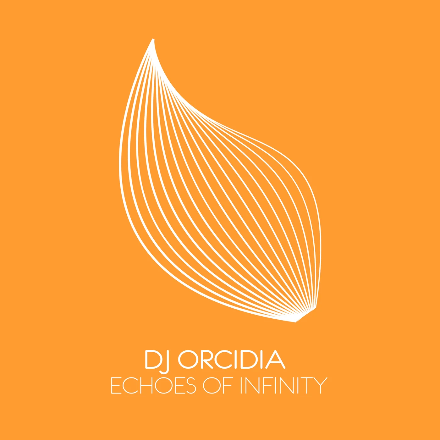  DJ Orcidia - Echoes Of Infinity (Extended Mix)