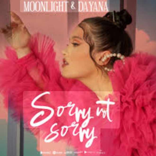  Moonlight feat. Dayana - Sorry Not Sorry