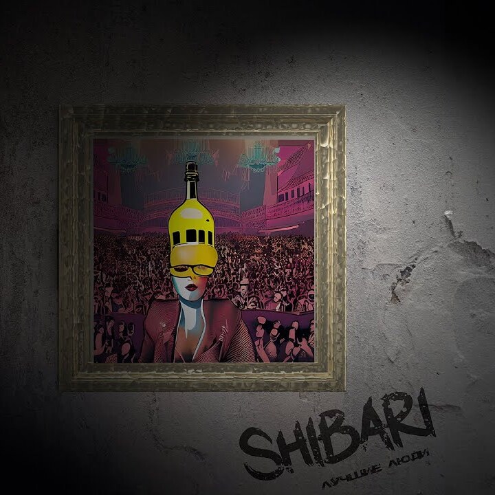  S H I B A R I - Лучшие люди