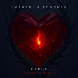 PATSYKI Z FRANEKA - ����� (santexx remix)