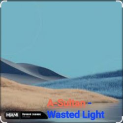 A-Sultan - Wasted Light