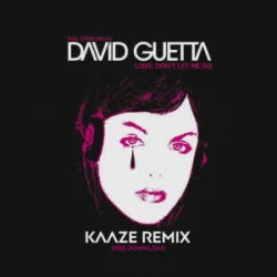 David Guetta & Chris Willis - Love Don't Let Me Go (KAAZE Remix)