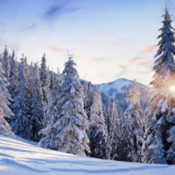 Y.K. MUSIC - ��, ������� - ��˲ ����