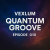 Обкладинка Vexlum - Quantum Groove 010