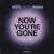 Cover MOTi & Amero - Now You're Gone
