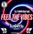 Cover DJ Brownie - Feel The Vibes (Bosketta Remix)