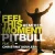 Cover Pitbull & Christina Aguilera - Feel This Moment (Riddler & Reid Stefan Club Mix)