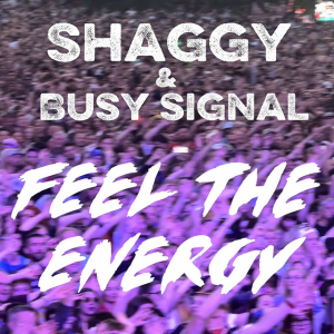  Shaggy & Busy Signal - Feel The Energy