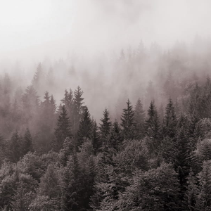  Y.K. Music - У Тумані