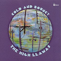  The High Llamas - Literature Is Fluff