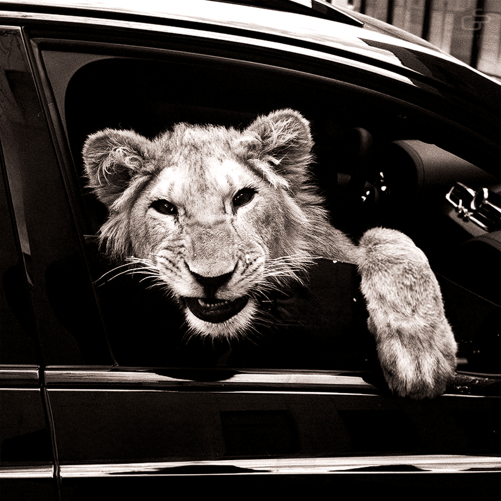  MACAN & Kiliana - Спокойной ночи