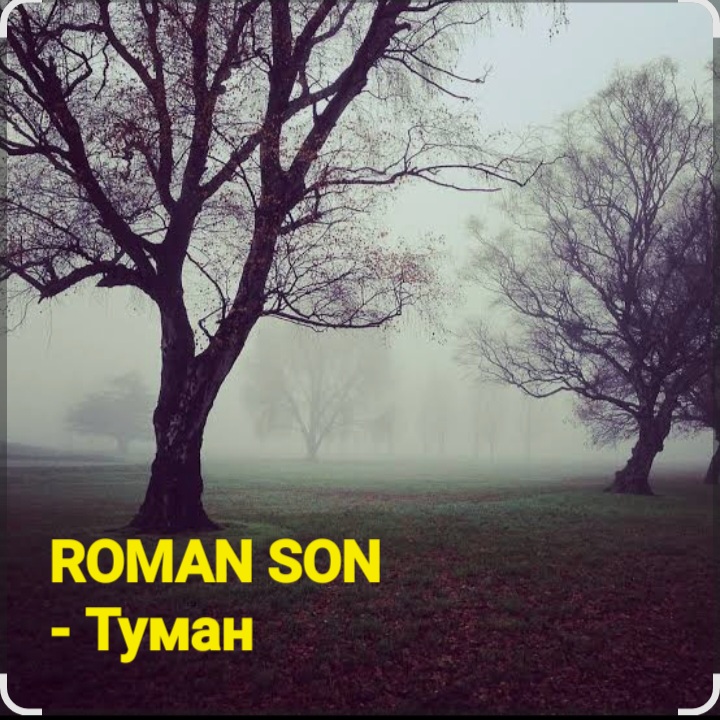  ROMAN SON - Туман
