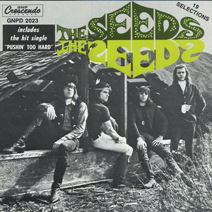  The Seeds - Can't Seem To Make You Mine