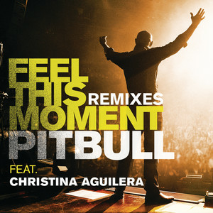  Pitbull & Christina Aguilera - Feel This Moment (Riddler & Reid Stefan Club Mix)