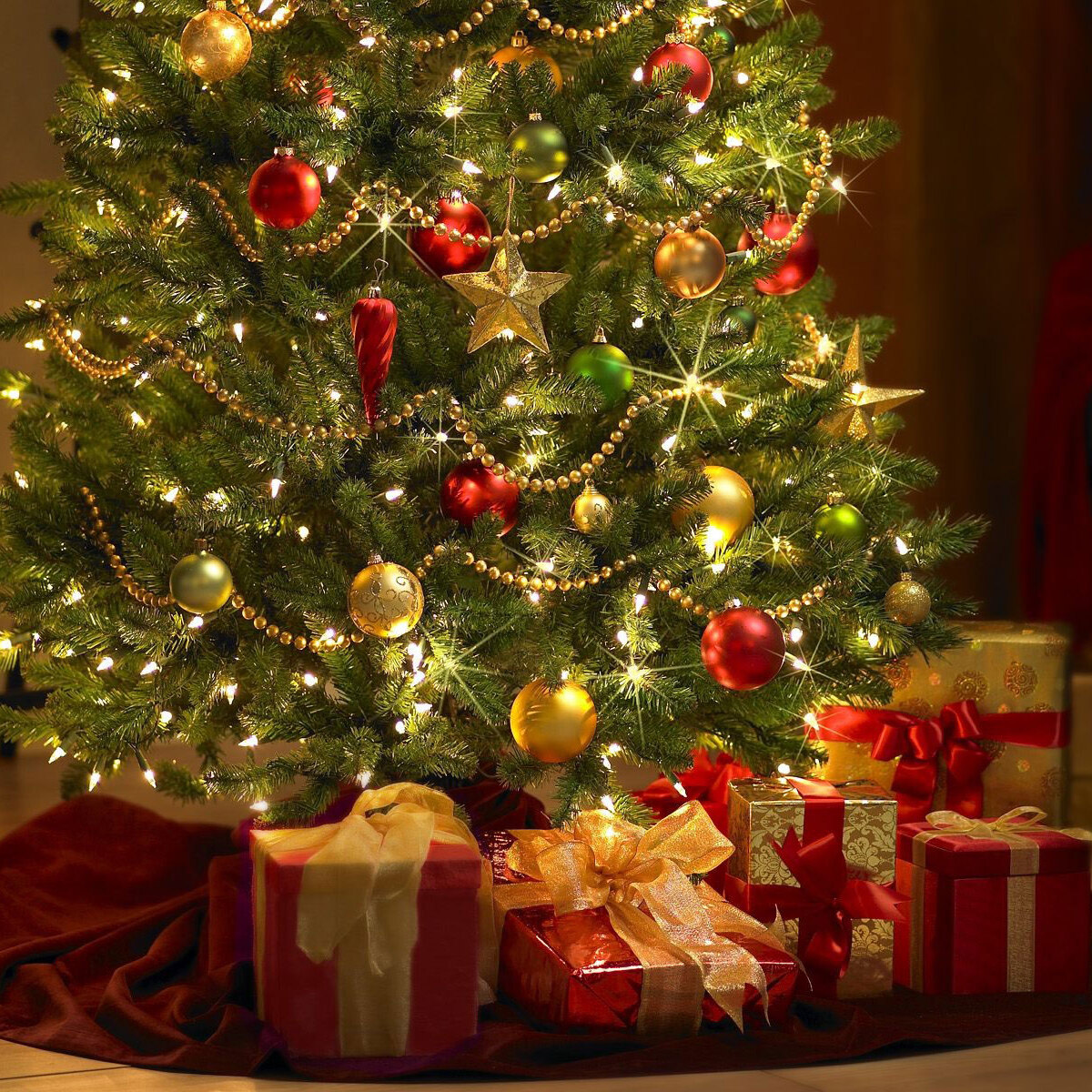  Acting Lovers - Under the christmas tree