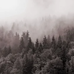 Y.K. Music - � ������