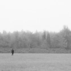 EKKSTACY - i walk this earth all by myself