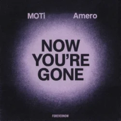 MOTi & Amero - Now You're Gone