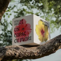 Stefan Hrusca - Un copac cu flori (Mentol Remix)