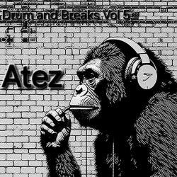 Drum and Breaks Vol.5