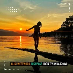 I Don't Wanna Know (Club Mix)
