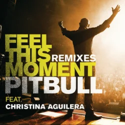 Pitbull & Christina Aguilera - Feel This Moment (Riddler & Reid Stefan Club Mix)